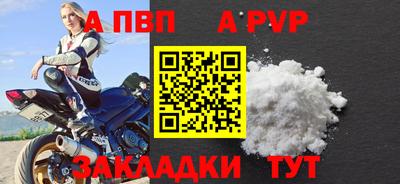 стаф Кунгур