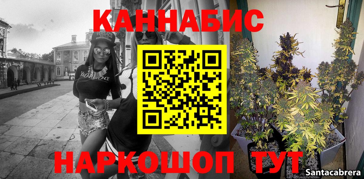 Каннабис OG Kush Кимовск